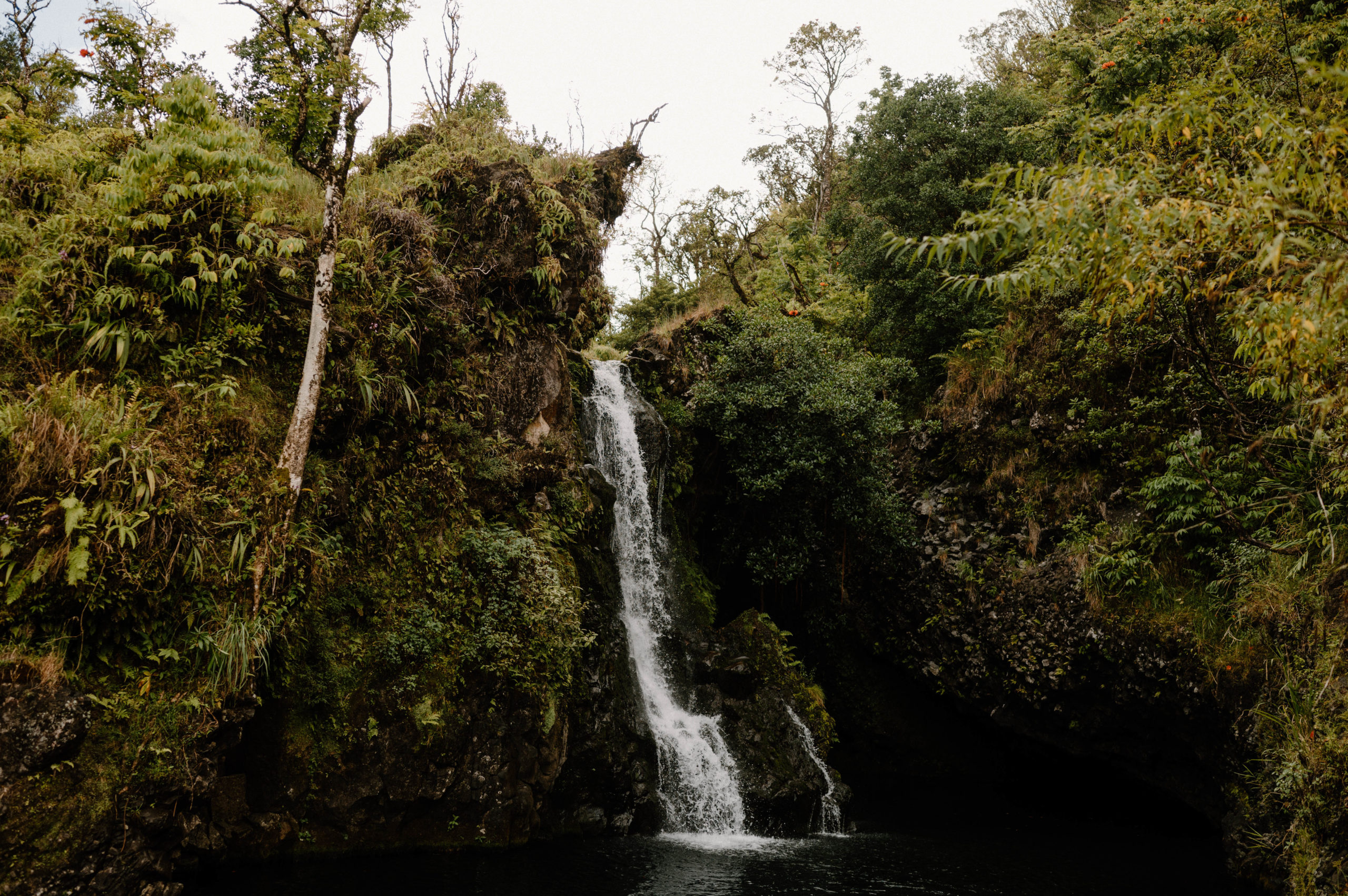 During your Maui Elopement, explore the many waterfalls the island has to offer! 