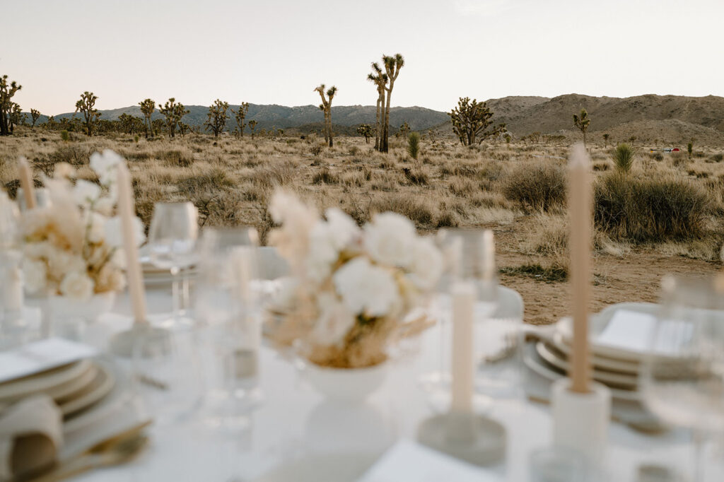 A close up shot of a tablescape is pictured with Joshua Trees in the distance