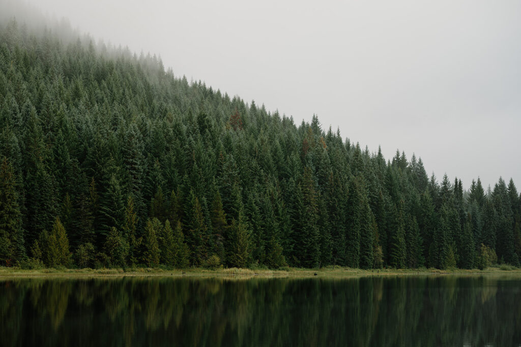 Trillium Lake on a misty Oregon day.